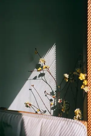 ปกนิยาย MORREL  เมียผมเป็นงู ❀