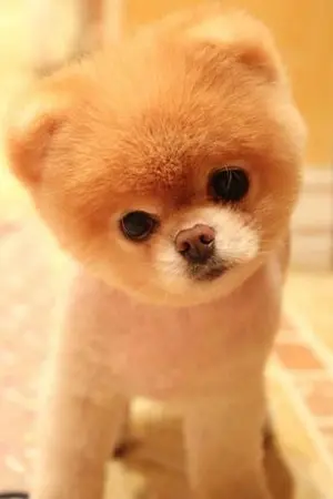 ปกนิยาย Test Room For them