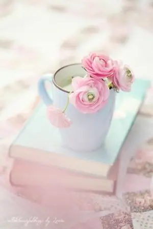 ปกนิยาย coup de foudre