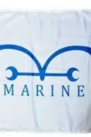 ปกนิยาย Pirates: The Strongest Vice Admiral In History