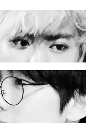 ปกนิยาย คนในไดอารี่ [Chanbaek]