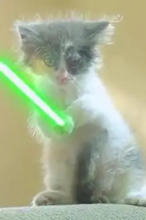 ปกนิยาย ผู้กล้าตะลุยโลกยุทธภพ