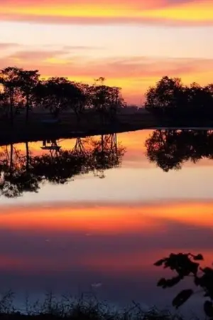 ปกนิยาย พราวฟ้า