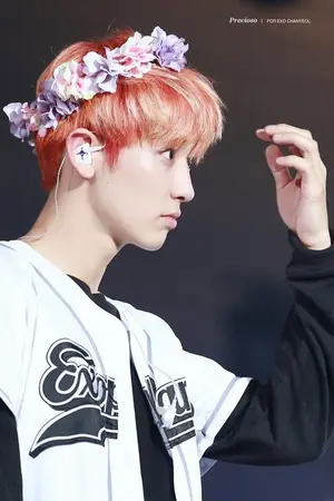 ปกนิยาย [FIC EXO] -I'm Not Men- [CHANSOO]