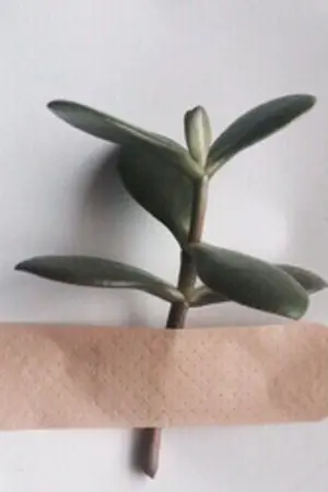 ปกนิยาย UNEXPECTED 0213 - MARKMIN