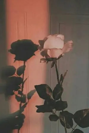 ปกนิยาย Freyja222 : หัดแปลเพลงเหมือนหัดเดินในวัยเด็ก