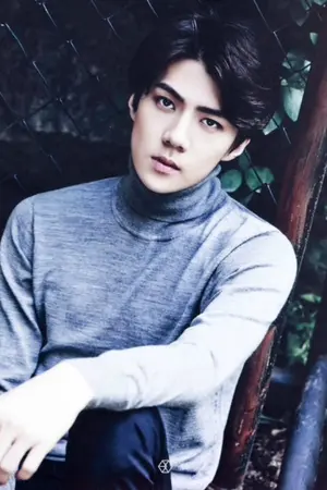 ปกนิยาย fiction : Wife ภรรยาที่แสนดี [ hunhan ]