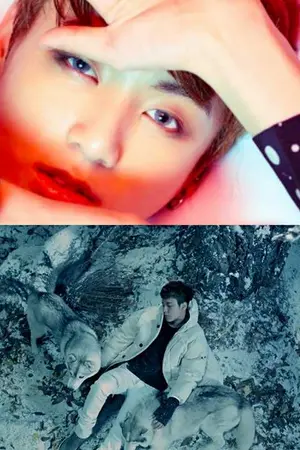 ปกนิยาย - Blood Rose  กุหลาบสีเลือด - [BTS x iKON - KOOKCHAN]