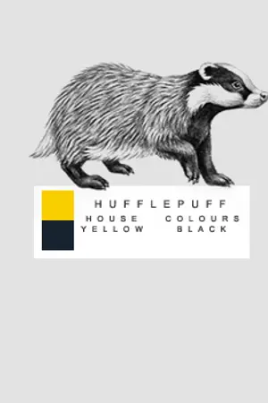 ปกนิยาย - H u f f l e p u f f -.