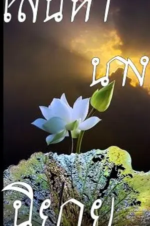 ปกนิยาย เสน่หานางนิยาย