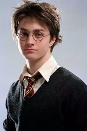 ปกนิยาย Harry James Potter (HP)