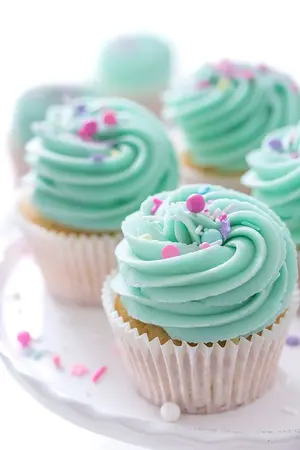 ปกนิยาย [ PD101 Fiction ]  DotPDF101