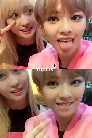 ปกนิยาย [Twice][Oneshot] Happiness of Us-JeongMo