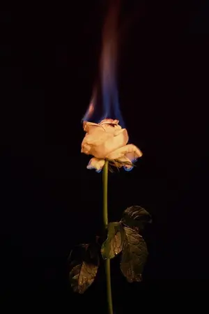 ปกนิยาย nct markmin | s a c r i f i c e