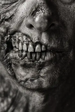 ปกนิยาย เชื้อนรก..ซอมบี้วิปลาส!! (Suratthani infected) จบแล้ว