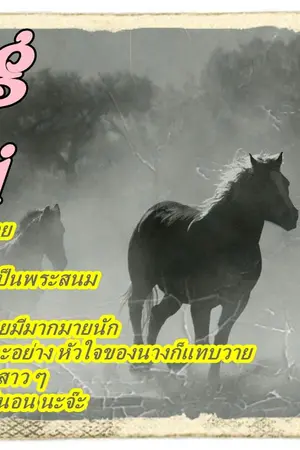 ปกนิยาย