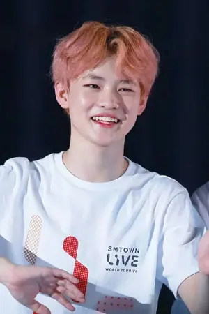 ปกนิยาย {nctdream }WAYD #ทำอะไรซล [ Sungle]