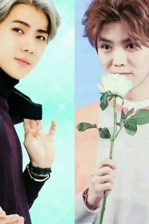 ปกนิยาย My Friend [HunHan ft. EXO]