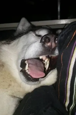 ปกนิยาย คุณ #แฟนผม [YAOI]