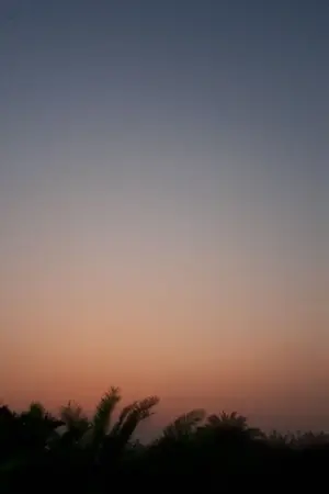 ปกนิยาย life.