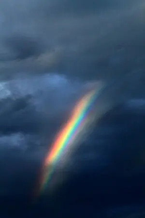 ปกนิยาย Falling in rain | kaisoo #fallinforks