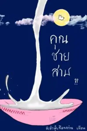 ปกนิยาย