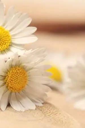 ปกนิยาย [NCT]Flora #winkun ft.lujung