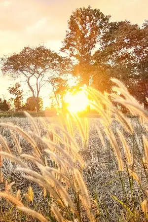 ปกนิยาย [SF][OS] LOVE Of JAEMIN เรื่องรักของนายยิ้มหวาน : JAEMIN & NCT