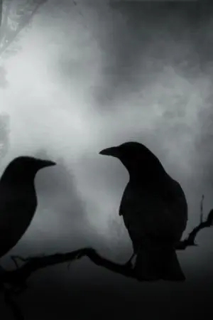 ปกนิยาย emperor