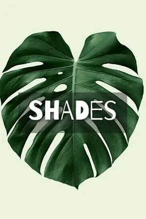 ปกนิยาย SHADES°   #doubleb  :  iKON