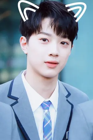 ปกนิยาย [wanna-one] Honey Puppy #linhoon