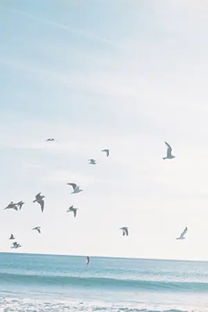 ปกนิยาย S U M M E R. (JohnJae // NCT)