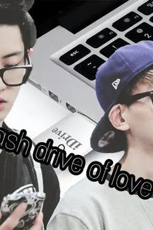 ปกนิยาย [ Flash drive of love]ไฟล์ชานแบค