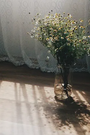 ปกนิยาย (sf/os)moonsun; around the sun.