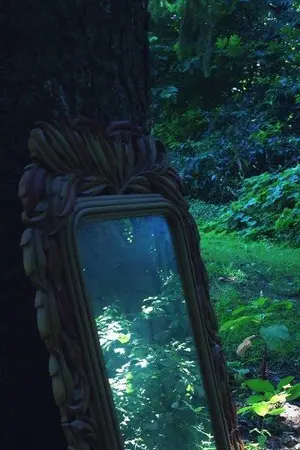 ปกนิยาย Because we are the same