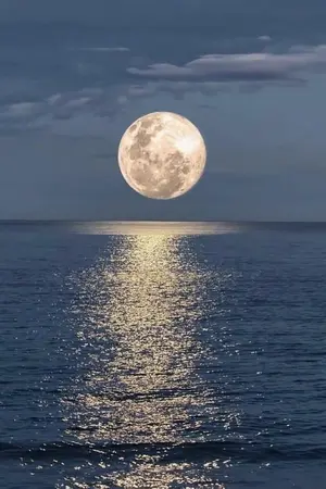 ปกนิยาย ใกล้ทะเล:Taeten