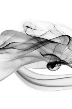 ปกนิยาย FIC TMS : A Smoke In The Sighs #อีกากินทุเรียน