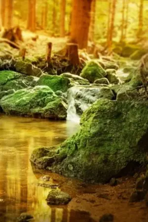 ปกนิยาย ตำ​นาน​เทพผู้​พิทักษ์​