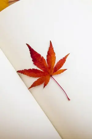 ปกนิยาย MyDialy #วันๆของฉันกับไดอารี่ก็งี้แหละ