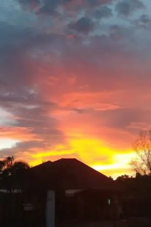 ปกนิยาย เสิ่นเซี่ย ข้าเป็นแค่สตรีในห้องหอนะ!