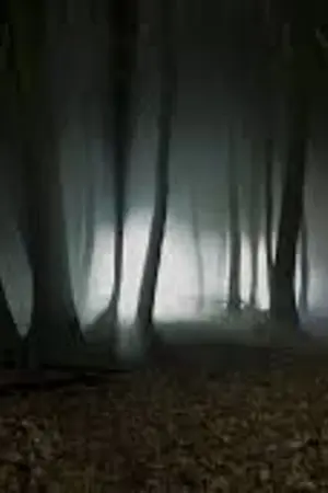 ปกนิยาย Terror In Middle Age : The Dept of Forest เรื่องหลอน ณ ยุคกลาง ตอน ป่าลึก