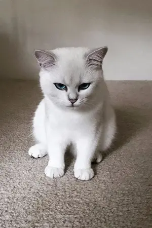 ปกนิยาย ผู้จัดการหัวใจ (รักษ์ - มุ)