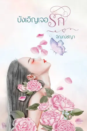 ปกนิยาย บังเอิญเจอรัก