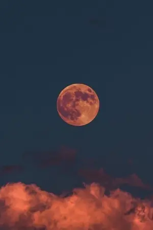 ปกนิยาย [Fic Naruto] To the moon and the back