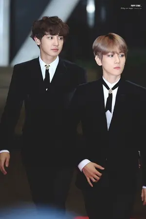 ปกนิยาย {fic exo } Fake love : Chanbaek