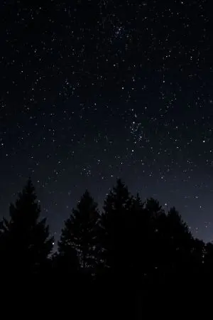 ปกนิยาย Light shining in the dark