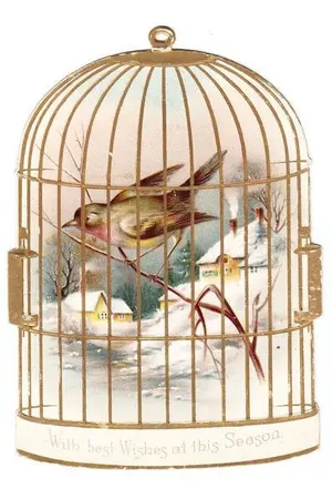 ปกนิยาย Put a bird in a cage (Chansoo)