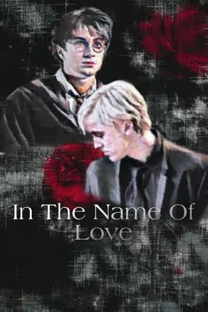 ปกนิยาย In The Name of Love [DM/HP][FIC Harry Potter]