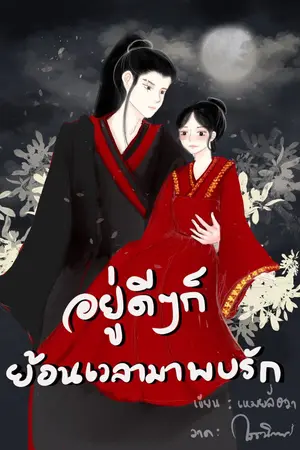 ปกนิยาย