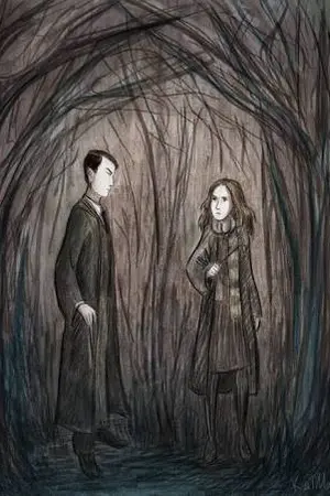 ปกนิยาย Time crash (Tom Riddle x Hermione Granger) ฟิคแปล